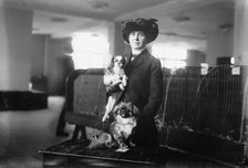 Miss M.A. Stovall with pets, between c1910 and c1915. Creator: Bain News Service.