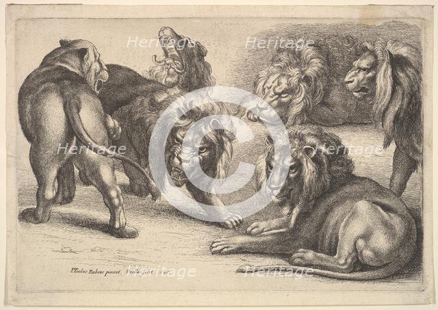 Five Lions and a Lioness, 1646. Creator: Wenceslaus Hollar.