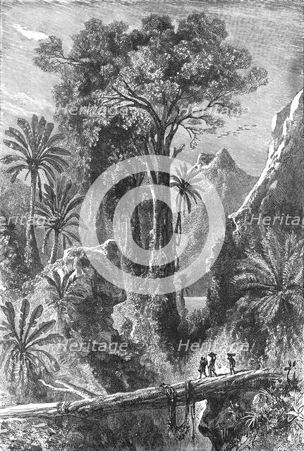 'On the Road to Tananarivo; Recent Explorations in Madagascar', 1875. Creator: Alfred Grandidier.