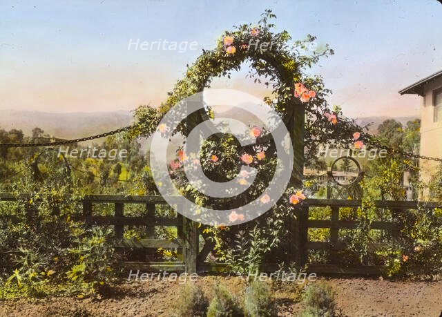 "Casa de Mariposa," Walter Franklin Cobb house, Butterfly Lane, Montecito, California, 1917. Creator: Frances Benjamin Johnston.