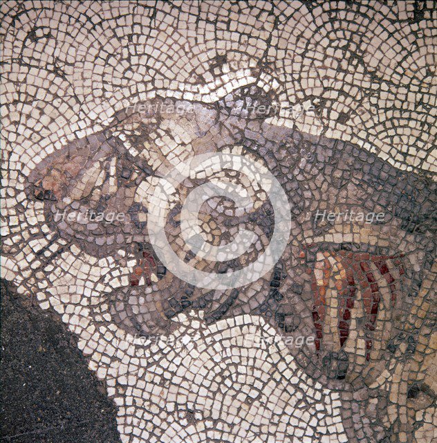 Leopard Mosaic detail, Great Palace, Istanbul, c4th-6th century. Artist: Unknown.