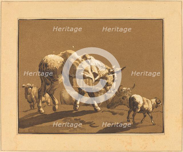 Donkey, published 1782. Creator: Johann Gottlieb Prestel.