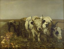 Harvesting beets, 1886. Creator: Niels Pedersen Mols.