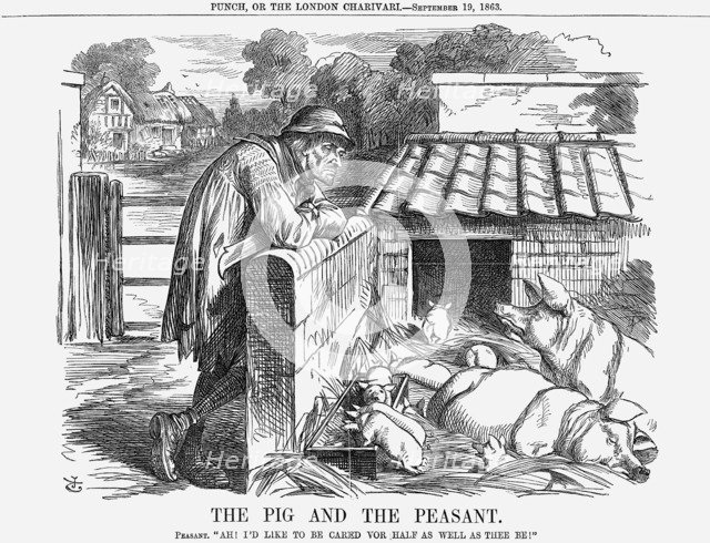 'The Pig and The Peasant', 1863. Artist: John Tenniel