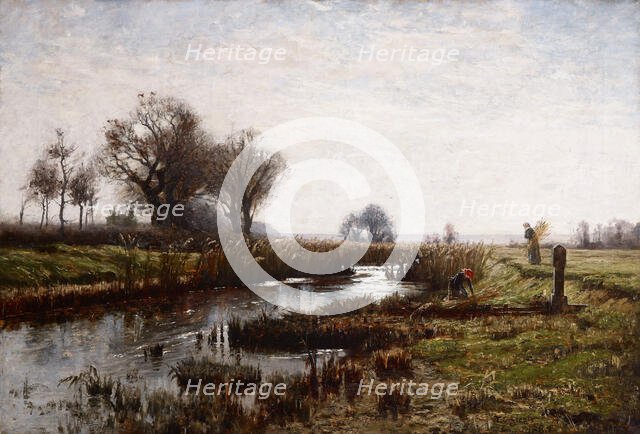 Late Afternoon, Dachau Moor, 1885. Creator: Theodore Clement Steele.