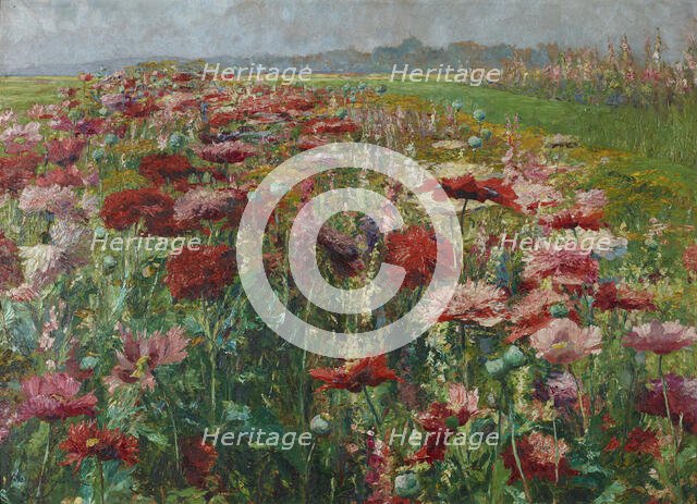 Blooming Poppy, c1895-1900. Creator: Wisinger-Florian, Olga (1844-1926).