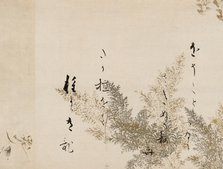A Poem from the Shin Kokinshu with Design of Shinobugusa (Moss Fern), 1605-10. Creator: Hon'ami Kôetsu.
