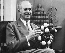 Linus Pauling, American chemist, c1954. Artist: Unknown