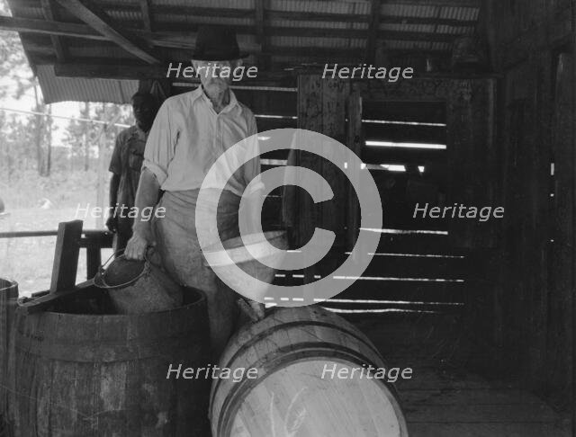 Turpentine worker, Georgia, 1937. Creator: Dorothea Lange.