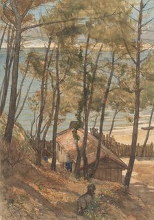 View from a hill on a house on the Gulf of Arcachon, 1876. Creator: August Allebe.