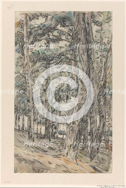 Forest landscape, 1873-1932. Creator: Willem Steenhoff.