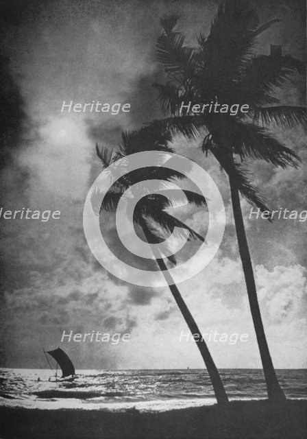 'The Palm Fringed Shore at Sunset', c1890, (1910). Artist: Alfred William Amandus Plate.