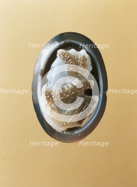 Cameo carved with the portrait of Elizabeth I, c1575. Artist: Unknown