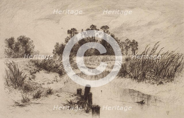 Marshy Landscape with Stream, c1860-1900. Creator: Thomas Moran.