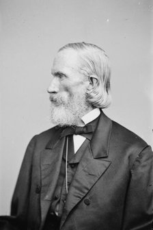 Orson Squire Fowler, between 1855 and 1865. Creator: Unknown.