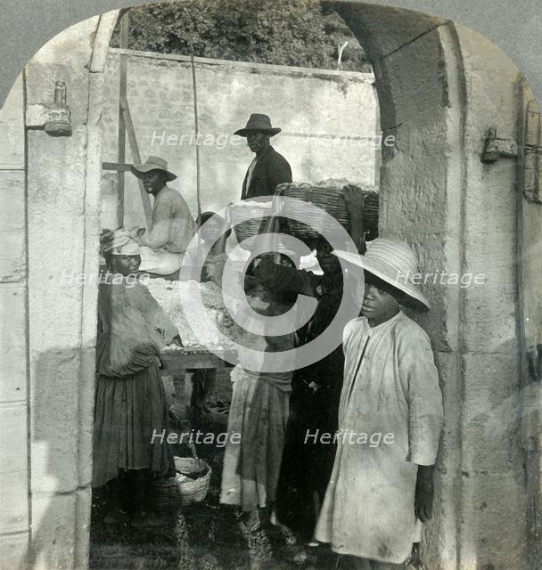 'Cocoa Fresh from the Pods, Dominica, B.W.I.', 1893.  Creator: Keystone View Company.
