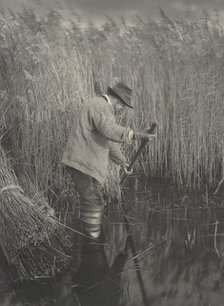 A Reed-Cutter at Work, 1886. Creators: Dr Peter Henry Emerson, Thomas Frederick Goodall.