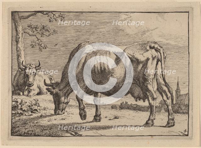 Grazing Cow, 1650. Creator: Paulus Potter.