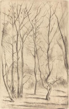 The Dam Wood, 1875. Creator: James Abbott McNeill Whistler.