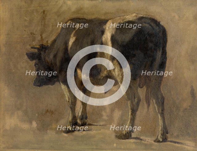 Bull, c1870s. Creator: Andre Plumot.