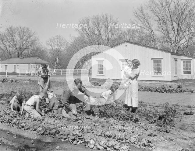 El Monte federal subsistence Homesteads, California, 1936. Creator: Dorothea Lange.