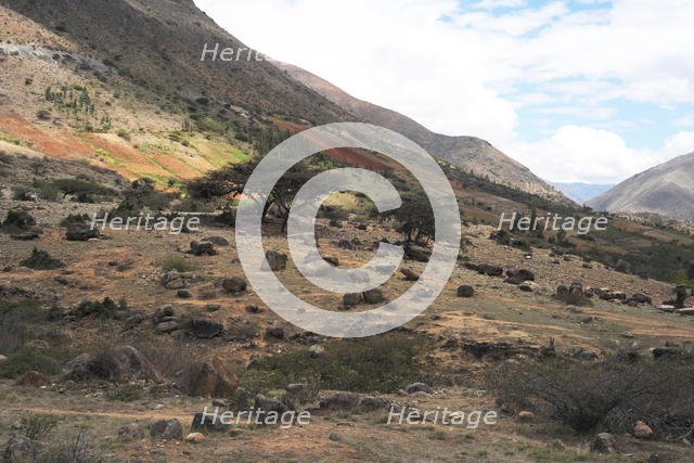 Kotosh, Huanuco, Peru, 2015. Creator: Luis Rosendo.
