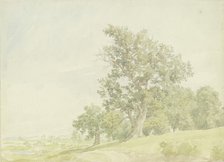 Forest edge at the slope, c1850-1900. Creator: Peter Becker.