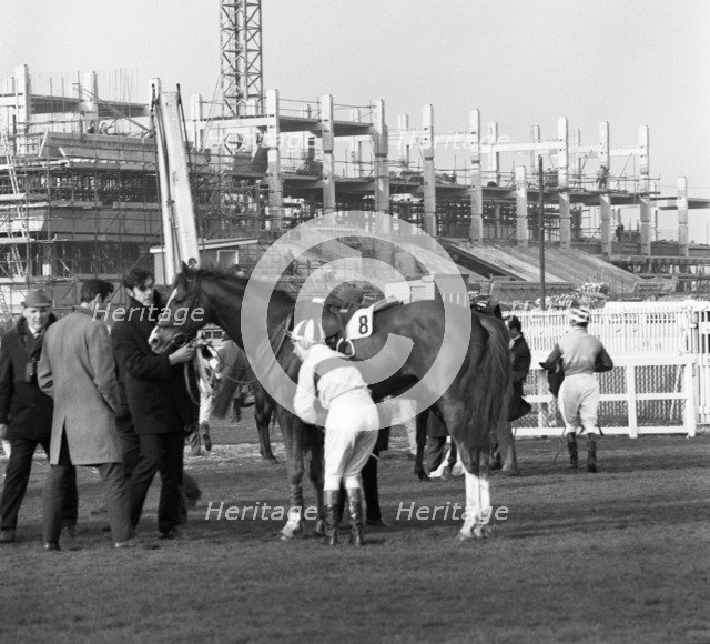 Racehorse and jockey in front of Doncaster Racecourse grandstand, South Yorkshire, 1969. Artist: Michael Walters