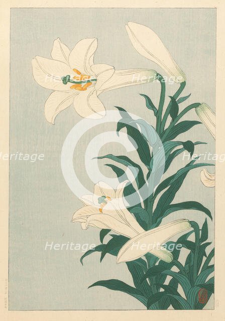 Lilies. Creator: Ohara, Koson (1877-1945).