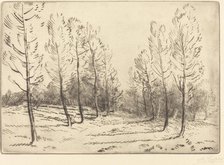 Avenue of Poplars (L'allee de peupliers). Creator: Alphonse Legros.