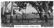 Cattle station homestead, Australia, 1928. Artist: Unknown