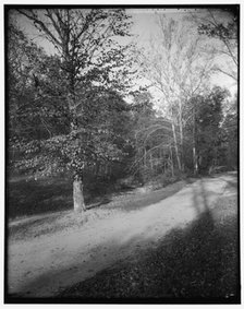 Rock Creek Park scenes, between 1910 and 1920. Creator: Harris & Ewing.