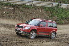 Skoda Yeti 2009. Artist: Simon Clay.