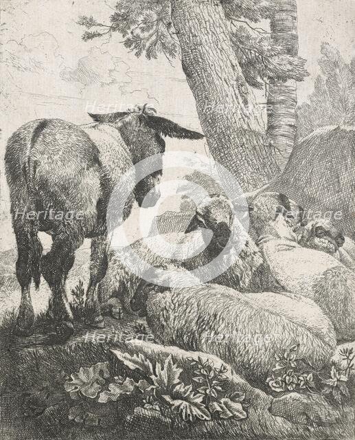 Sheep, goats and cows series: Donkey and sheep, 1668-1670. Creator: Johann Heinrich Roos.