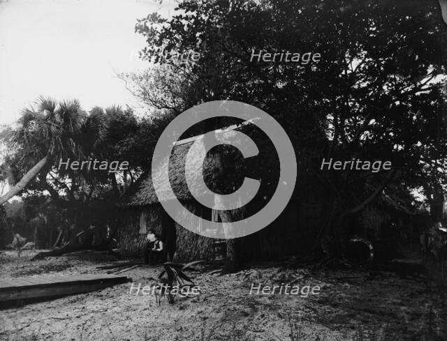 Dawson's, Gem Island, Indian River, between 1880 and 1897. Creator: William H. Jackson.