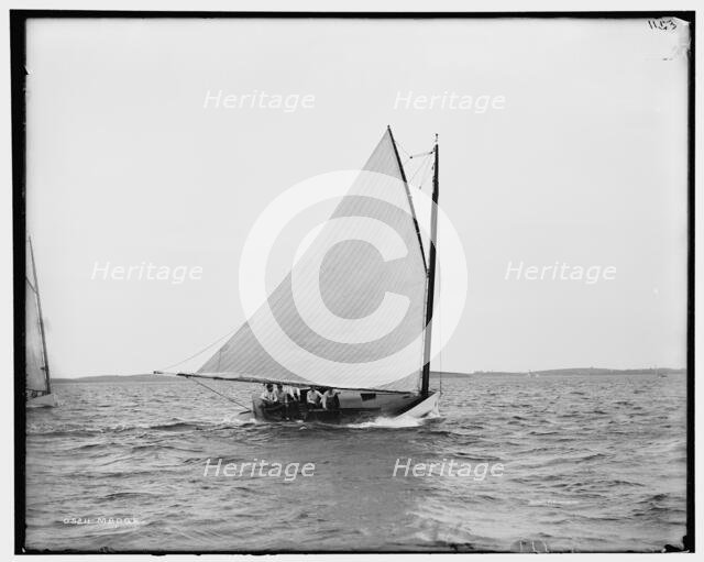 Madge, between 1880 and 1899. Creator: Unknown.