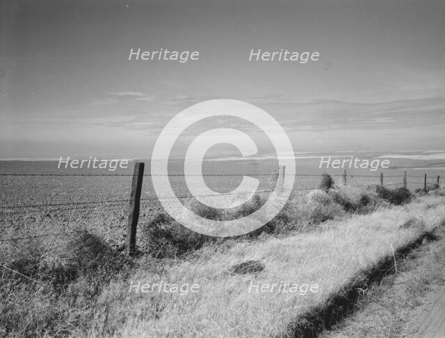 West wheat country in a region where yields are over twenty five..., Umatilla County, Oregon, 1939. Creator: Dorothea Lange.