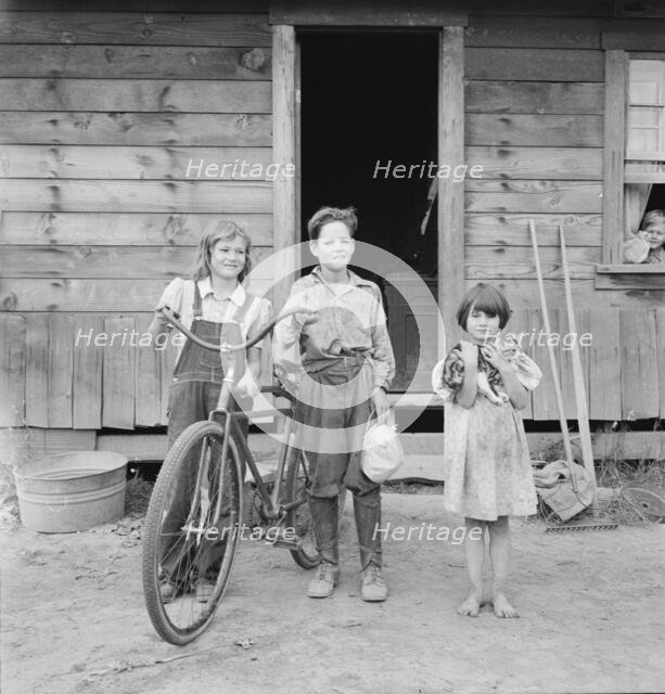 Three of the four Arnold children, Michigan Hill, Western Washington, 1939. Creator: Dorothea Lange.