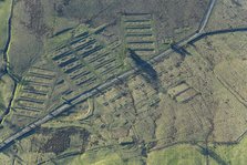 The earthwork remains of Leighton Construction Camp, Breary Banks, North Yorkshire, 2025. Creator: Robyn Andrews.