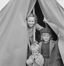 Lighthearted kids in Merrill FSA camp, Klamath County, Oregon, 1939. Creator: Dorothea Lange.