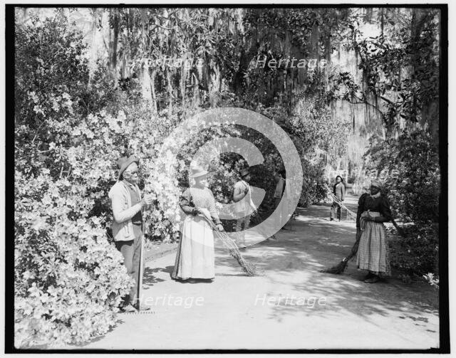 The caretakers, Magnolia-on-the-Ashley i.e. Magnolia Gardens, Charleston, S.C., c1900. Creator: William H. Jackson.