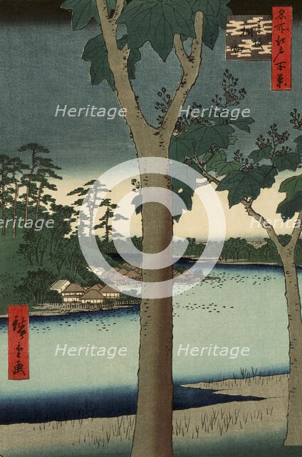 Paulownia Plantation at Akasaka, 1856. Creator: Ando Hiroshige.