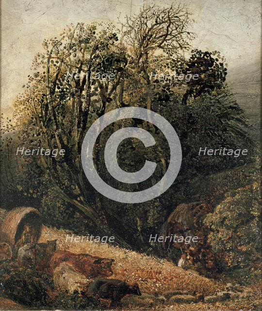 A Cornfield Bordered by Trees, c1833-1834. Artist: Samuel Palmer.