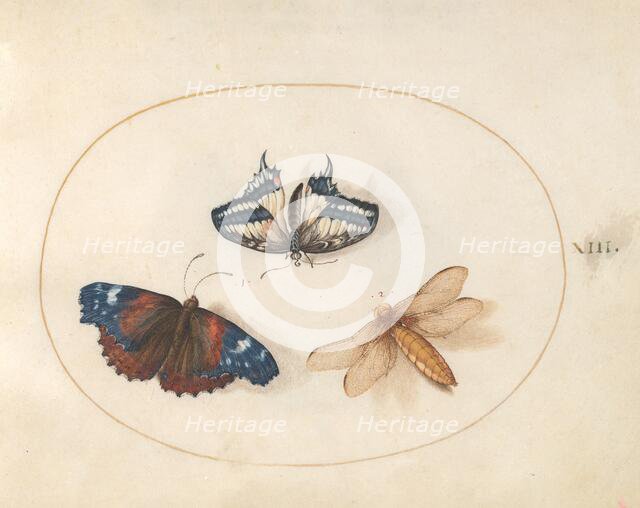 Plate 13: Two Butterflies and a Dragonfly(?), c. 1575/1580. Creator: Joris Hoefnagel.
