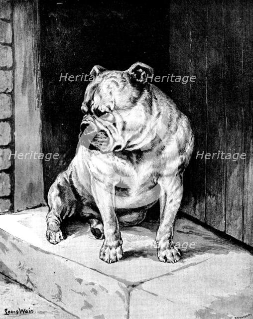 "A Thing of Beauty" - sketch at the Bulldog Show, 1890.  Creator: George Meisenbach.