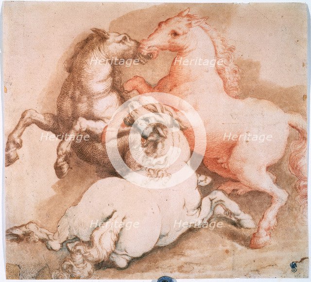 'Fighting Horses', c1550-1600. Creator: Unknown Old Master.