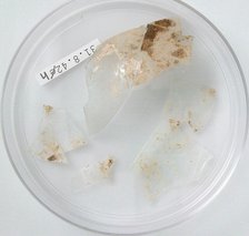 Glass Fragments, Coptic, 4th century. Creator: Unknown.