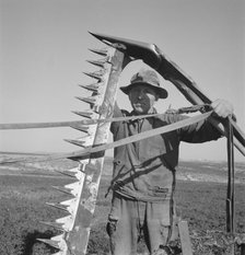 Mr. Browning in his field getting ready to mow hay, Dead Ox Flat, Malheur County, Oregon, 1939. Creator: Dorothea Lange.