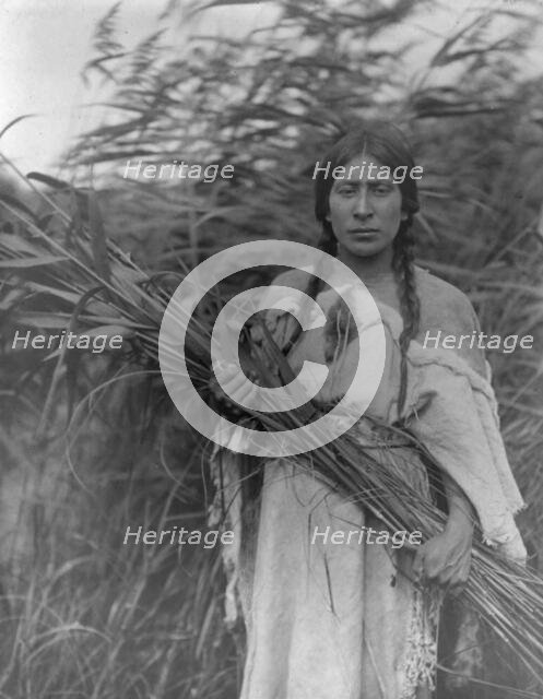 The rush gatherer, c1908. Creator: Edward Sheriff Curtis.
