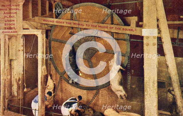 Revolving hog wheel, Armour Plant, Union Stock Yards, Chicago, Illinois, USA, 1915. Artist: Unknown